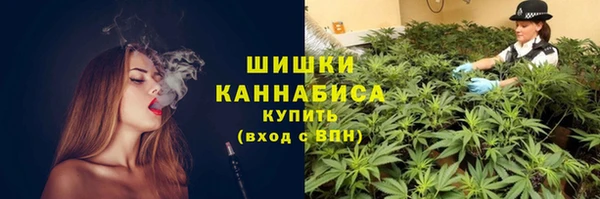 гидра Арсеньев