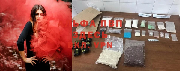 гидра Арсеньев
