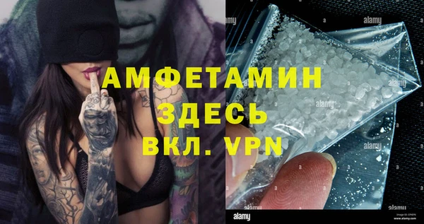 гидра Арсеньев